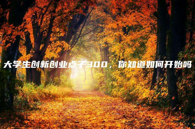 大学生创新创业点子300，你知道如何开始吗