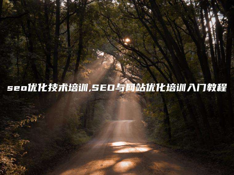 seo优化技术培训,SEO与网站优化培训入门教程