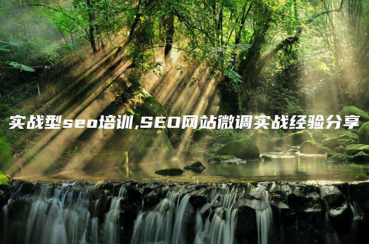 实战型seo培训,SEO网站微调实战经验分享