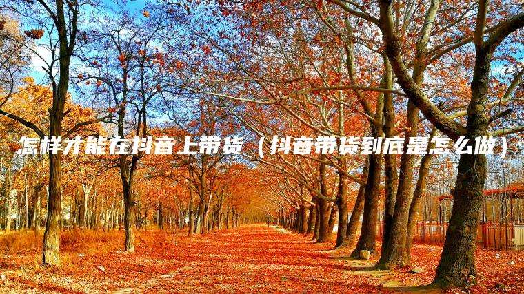 怎样才能在抖音上带货（抖音带货到底是怎么做）