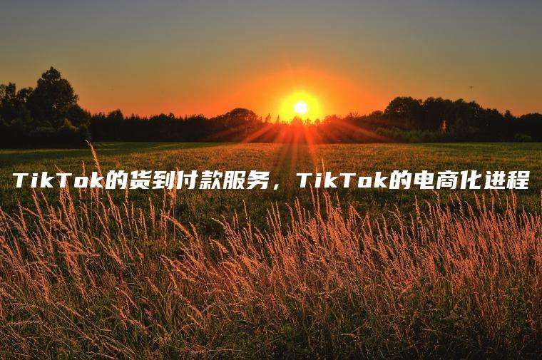 TikTok的货到付款服务，TikTok的电商化进程