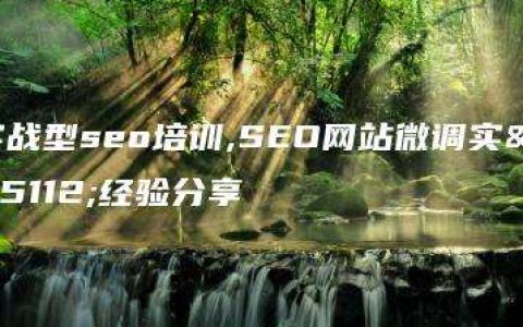 实战型seo培训,SEO网站微调实战经验分享