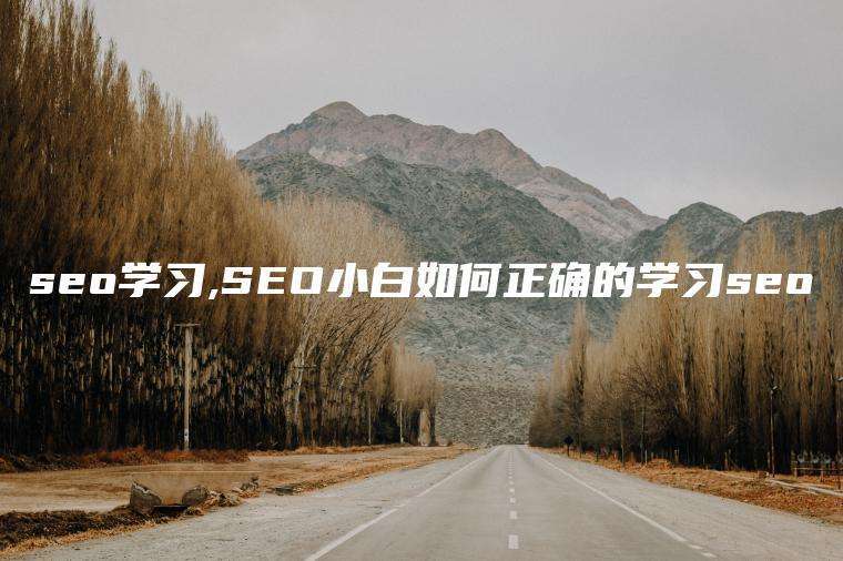 seo学习,SEO小白如何正确的学习seo