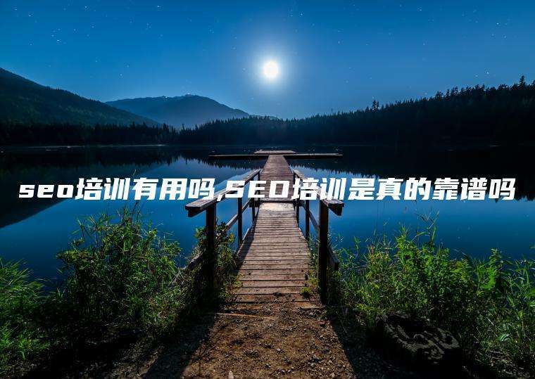 seo培训有用吗,SEO培训是真的靠谱吗