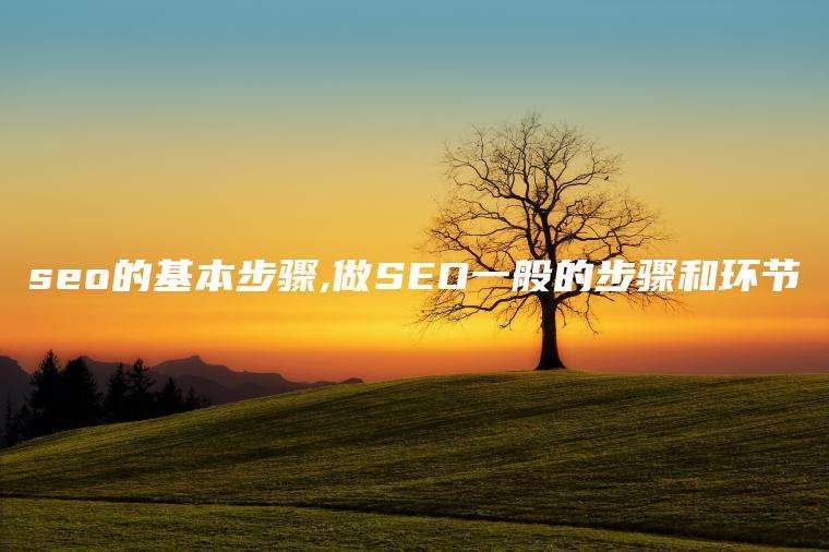 seo的基本步骤,做SEO一般的步骤和环节