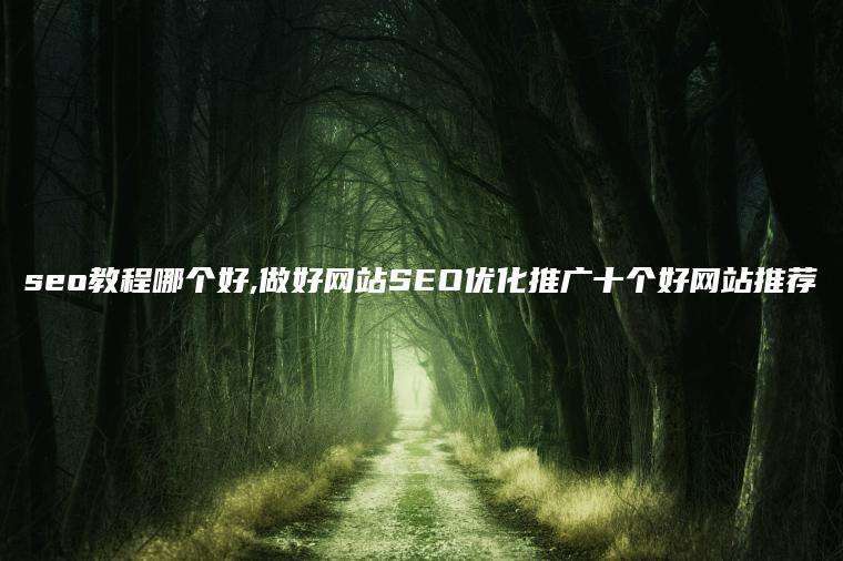 seo教程哪个好,做好网站SEO优化推广十个好网站推荐