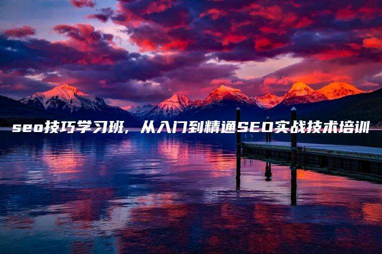 seo技巧学习班, 从入门到精通SEO实战技术培训