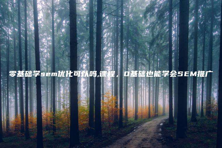 零基础学sem优化可以吗,课程，0基础也能学会SEM推广