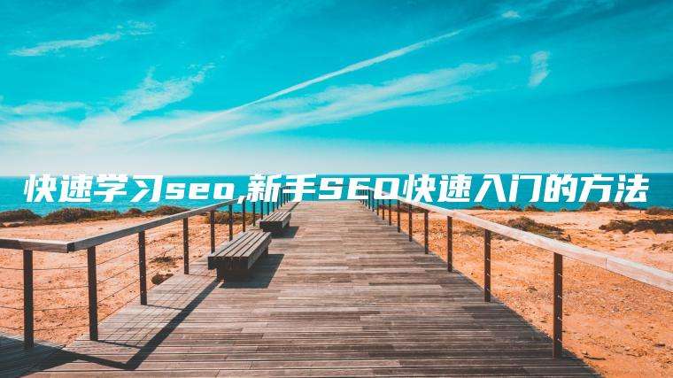 快速学习seo,新手SEO快速入门的方法