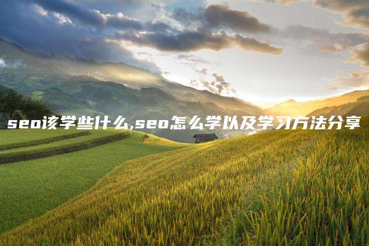 seo该学些什么,seo怎么学以及学习方法分享