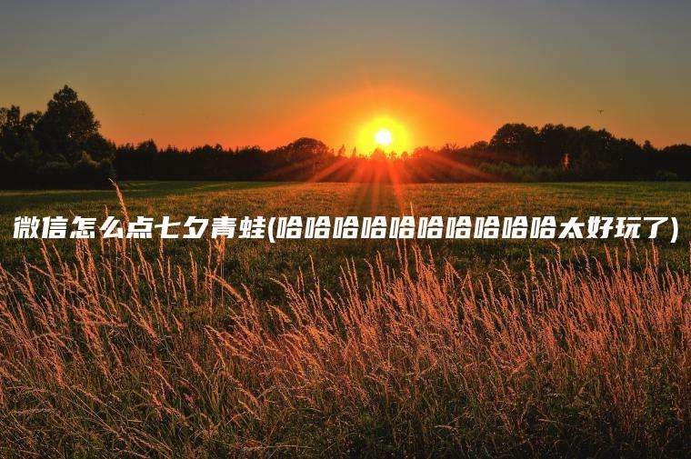 微信怎么点七夕青蛙(哈哈哈哈哈哈哈哈哈哈太好玩了)