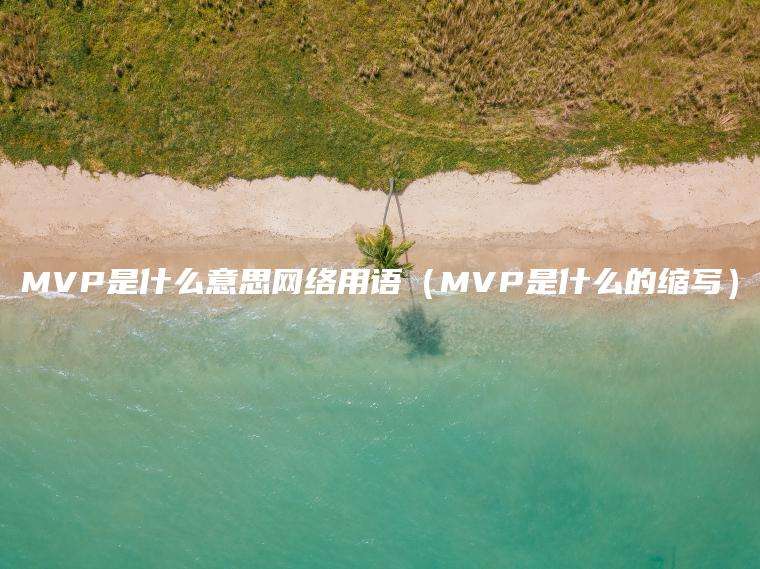 MVP是什么意思网络用语（MVP是什么的缩写）