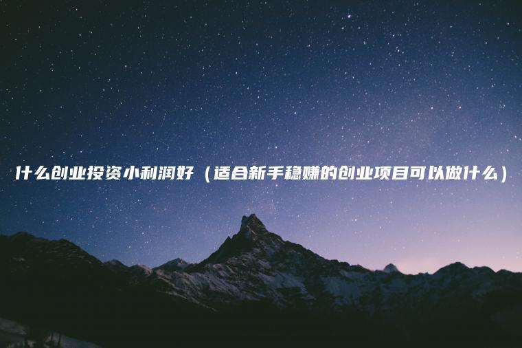 什么创业投资小利润好（适合新手稳赚的创业项目可以做什么）