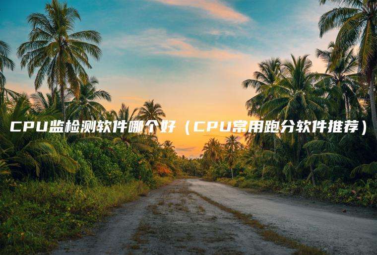 CPU监检测软件哪个好（CPU常用跑分软件推荐）