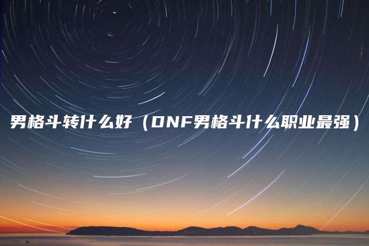 男格斗转什么好（DNF男格斗什么职业最强）