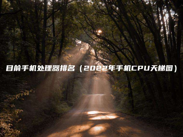 目前手机处理器排名（2022年手机CPU天梯图）