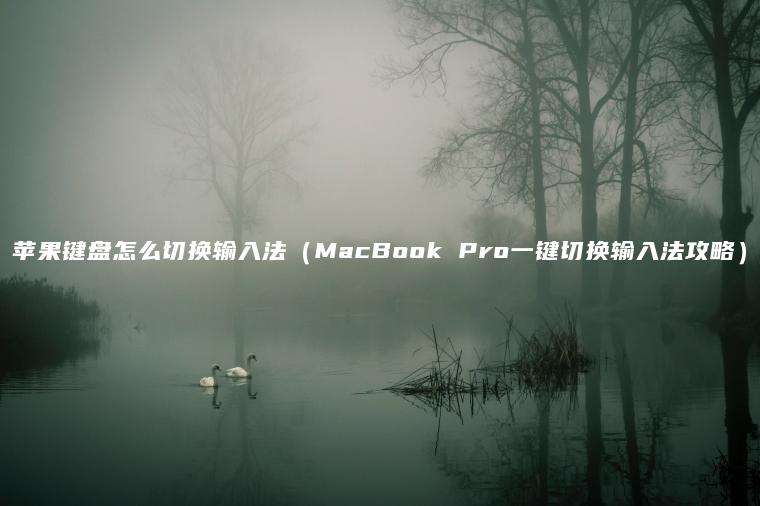 苹果键盘怎么切换输入法（MacBook Pro一键切换输入法攻略）