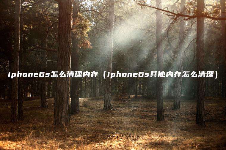 iphone6s怎么清理内存（iphone6s其他内存怎么清理）