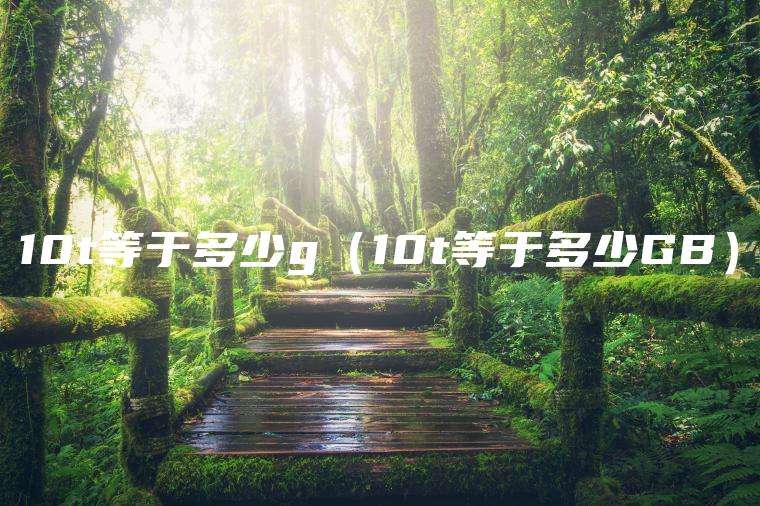 10t等于多少g（10t等于多少GB）