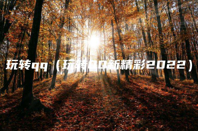 玩转qq（玩转QQ新精彩2022）