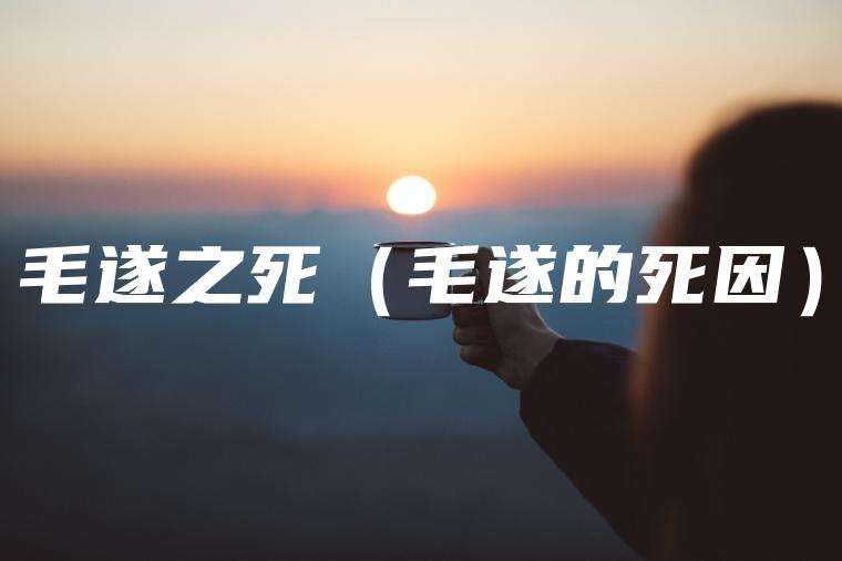 毛遂之死（毛遂的死因）