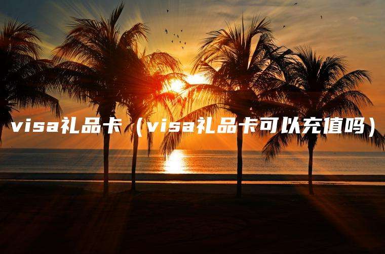 visa礼品卡（visa礼品卡可以充值吗）