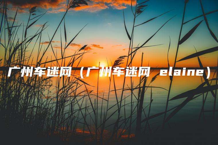 广州车迷网（广州车迷网 elaine）