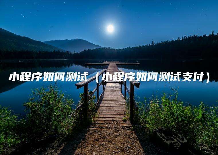 小程序如何测试（小程序如何测试支付）