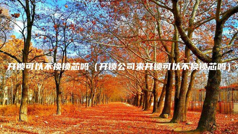 开锁可以不换锁芯吗（开锁公司来开锁可以不换锁芯吗）