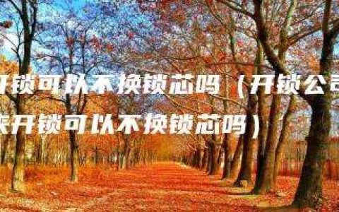 开锁可以不换锁芯吗（开锁公司来开锁可以不换锁芯吗）