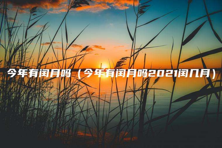 今年有闰月吗（今年有闰月吗2021闰几月）