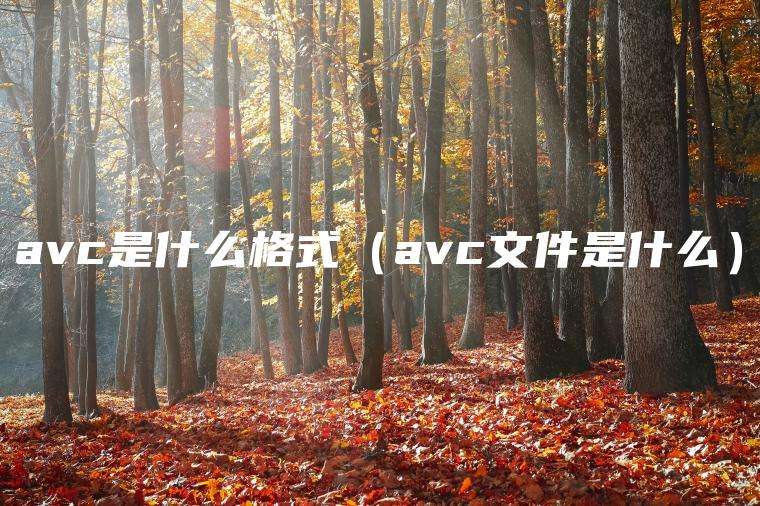 avc是什么格式（avc文件是什么）