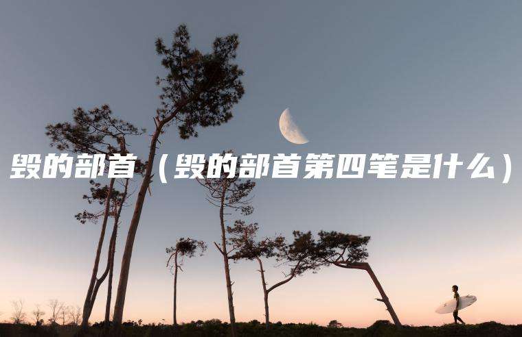 毁的部首（毁的部首第四笔是什么）