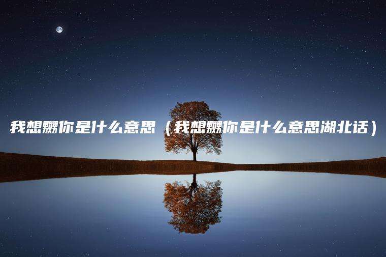 我想嬲你是什么意思（我想嬲你是什么意思湖北话）