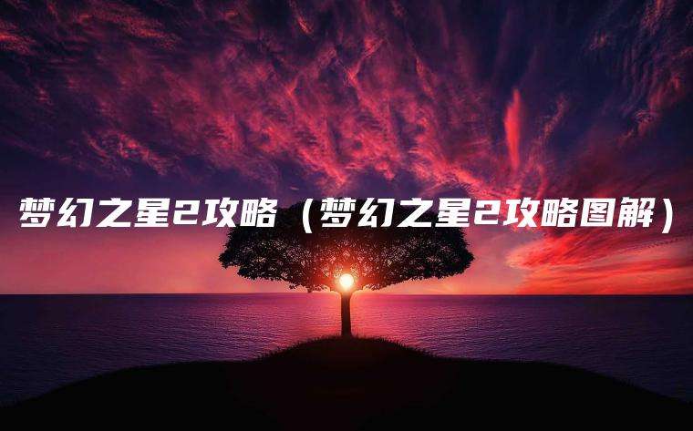 梦幻之星2攻略（梦幻之星2攻略图解）