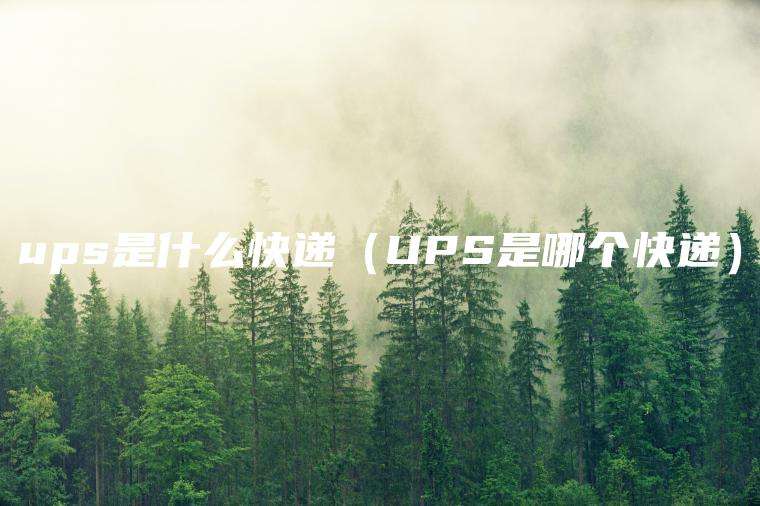 ups是什么快递（UPS是哪个快递）