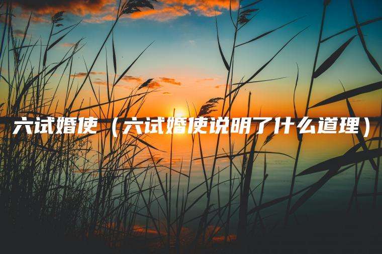 六试婚使（六试婚使说明了什么道理）