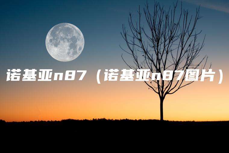 诺基亚n87（诺基亚n87图片）