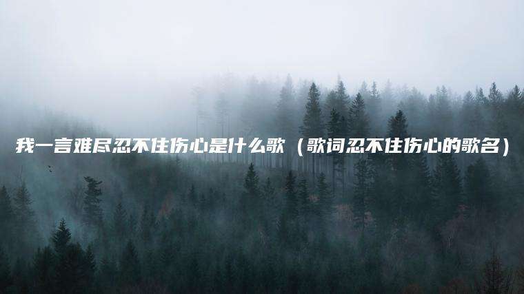 我一言难尽忍不住伤心是什么歌（歌词忍不住伤心的歌名）