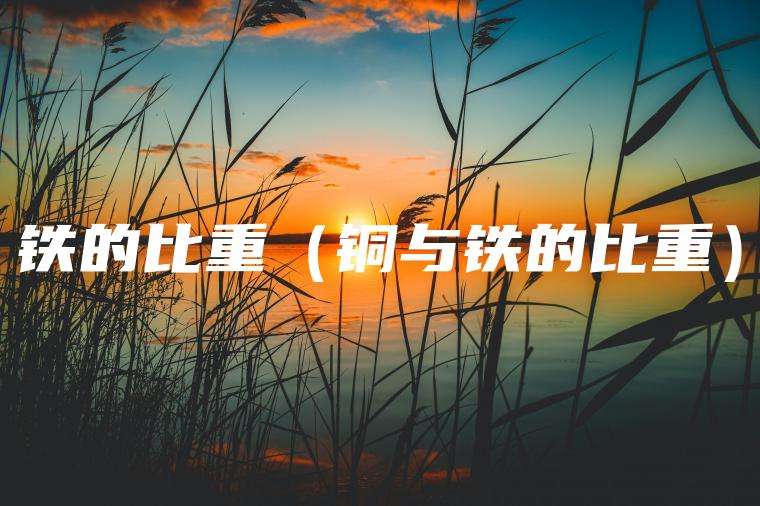 铁的比重（铜与铁的比重）