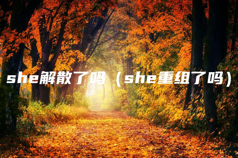 she解散了吗（she重组了吗）