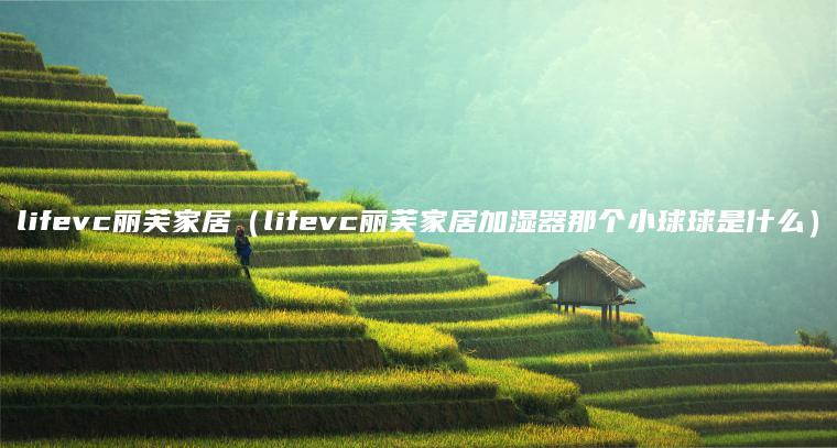 lifevc丽芙家居（lifevc丽芙家居加湿器那个小球球是什么）