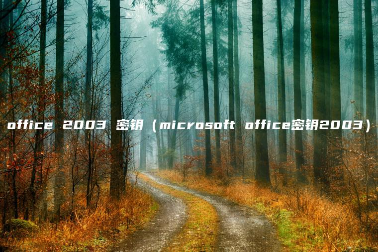 office 2003 密钥（microsoft office密钥2003）