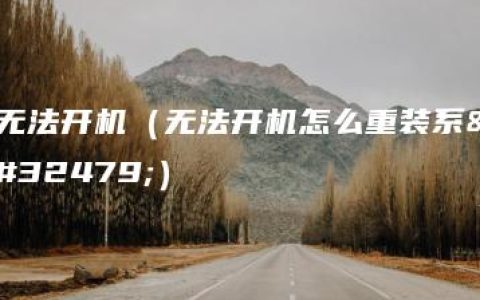 无法开机（无法开机怎么重装系统）