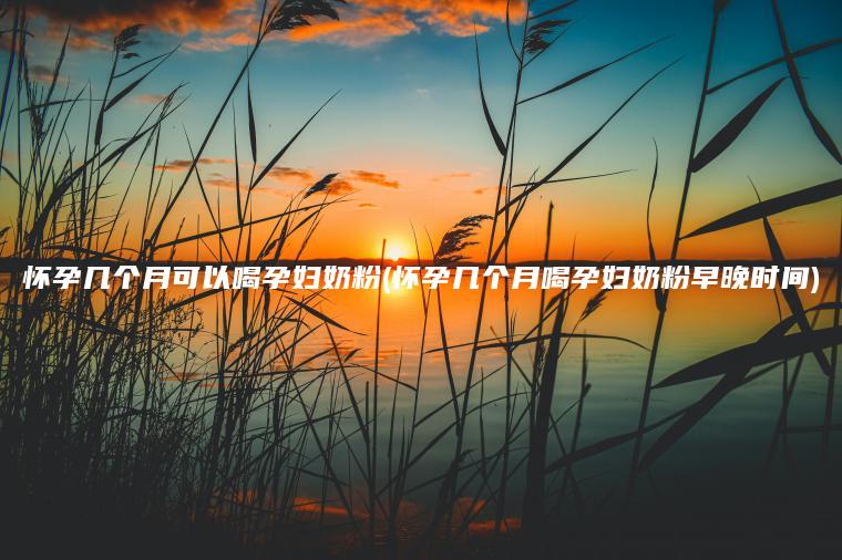 怀孕几个月可以喝孕妇奶粉(怀孕几个月喝孕妇奶粉早晚时间)