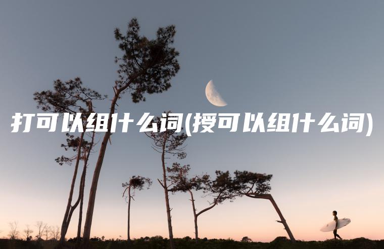 打可以组什么词(授可以组什么词)