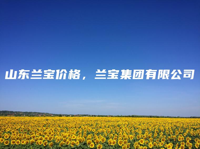 山东兰宝价格，兰宝集团有限公司