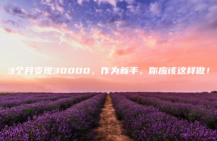 3个月变现30000，作为新手，你应该这样做！