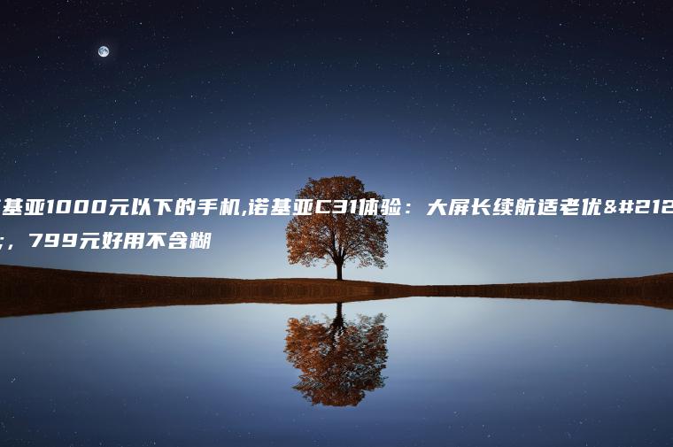 诺基亚1000元以下的手机,诺基亚C31体验：大屏长续航适老优化，799元好用不含糊