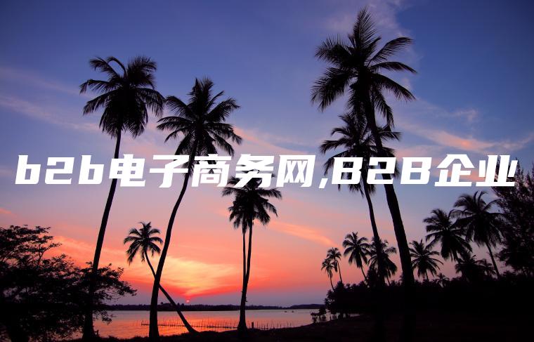 b2b电子商务网,B2B企业